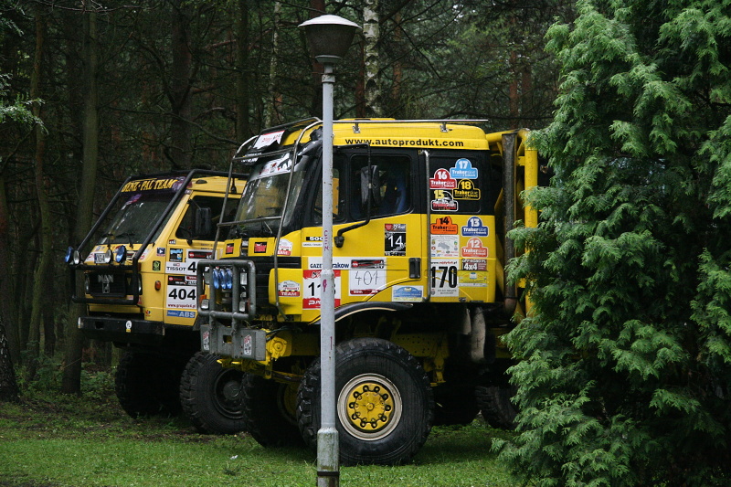 p 377.jpg